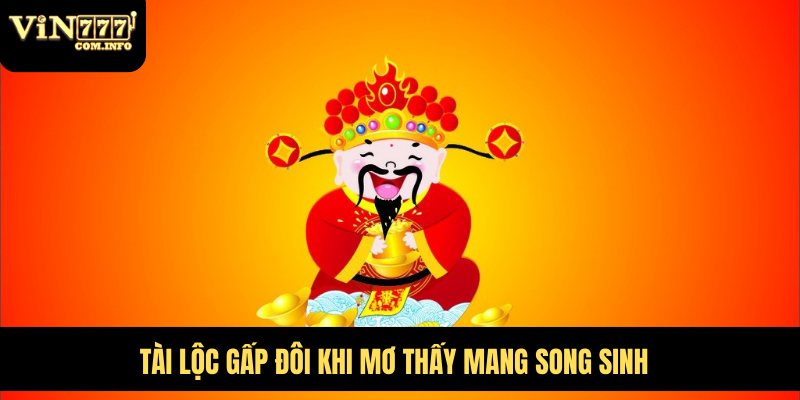 Mơ Thấy Mang Thai Là Điềm Báo Gì? Giải Mã Giấc Mơ Chi Tiết 6 Tài lộc gấp đôi khi mơ thấy mang song sinh
